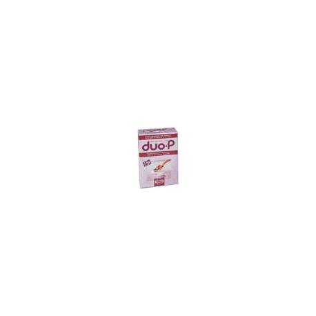 SEBO DUO-P