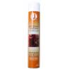 POLISH NETTOYANT SILICONE U2 EN AÉROSOL POLISH NETTOYANT SILICONE U2 EN AÉROSOL