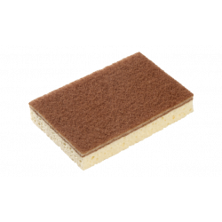 ÉPONGE SPONREX 100 x10