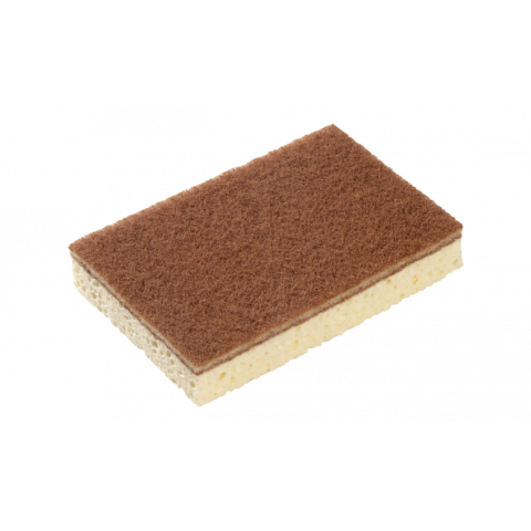 ÉPONGE SPONREX 100 x10