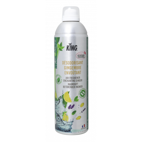 DÉSODORISANT GINGEMBRE ENVOÛTANT 12X400mL