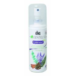 BRUME HUILES ESSENTIELLES PURIFIANT 12X100 mL
