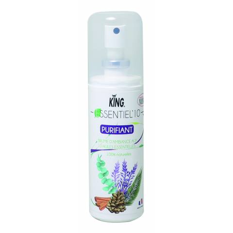 BRUME HUILES ESSENTIELLES PURIFIANT 12X100 mL
