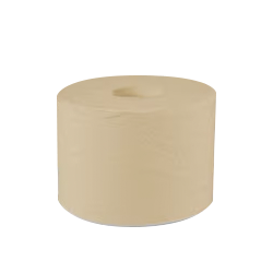 PAPIER HYGIÉNIQUE MID-SIZE SANS MANDRIN NATURAL LOT DE 24