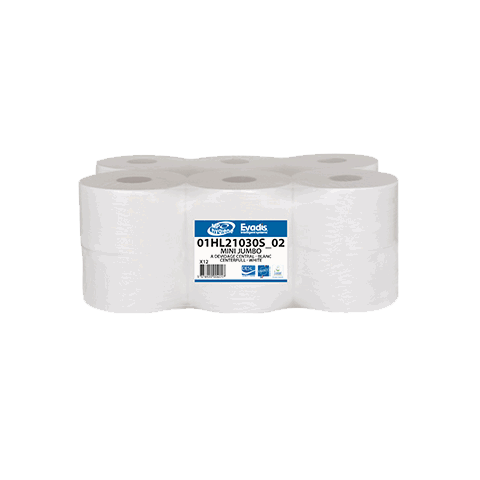 PAPIER HYGIÉNIQUE À DÉVIDAGE CENTRAL 120 M BLANC LOT DE 12